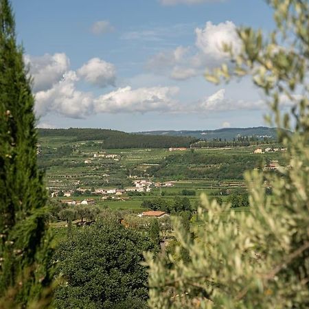 Monolocale Moderno Valpolicella Verona - Vayu San Pietro in Cariano Eksteriør bilde